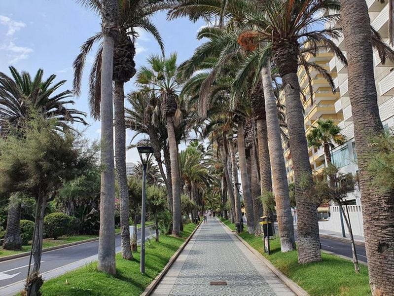 Apartamento Renovado, Frente A La Playa, Con Garaje Apartment Puerto de la Cruz  Ngoại thất bức ảnh